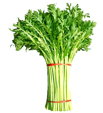 茼蒿.jpg 茼蒿.jpg